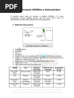 Os 4 Principais GaNSes e Aminoácidos