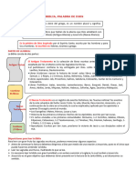 La Biblia 1°y2° Sec.