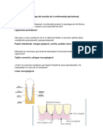 Guia Perio Ordinario 1