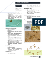 Lesson 5 Other Nematodes