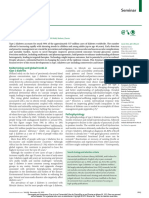 Type 2 Diabetes The Lancet 2022