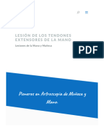 Lesión de Los Tendones Extensores de La Mano - Cirugía de La Mano