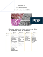 Guía 9 Aparato Digestivo