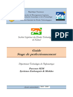 Guide Stage Perfectionnement 2019 (Dep TI - Parcours SEM)