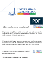 Proceso Psicoterapeutico