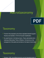 Macro Taxonomy