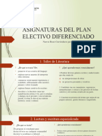 Asignaturas Del Plan Electivo Diferenciado 2023