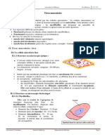 Cours Du Tissu Musculaire 2023