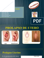 Prolapso de Utero