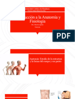 Anatomia 1