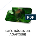 Guía Basica Del Agapornis