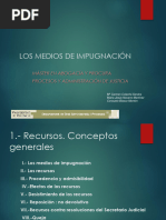 Los Recursos. Concepto Generales.