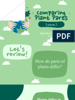 Comparing Plant Parts