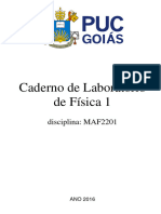 Caderno de Laboratório Física I PUC GO