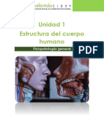 UD1. Estructura Del Cuerpo Humano