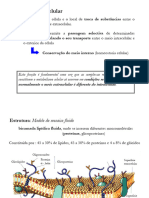 C - Membranas Biológicas e Transporte Membranar