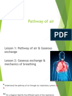 Pathway of Air