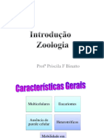 Introduc3a7c3a3o C3a0 Zoologia