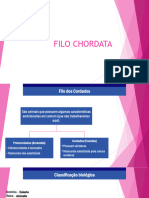 Aula 5 Caracteristicas e Classificação Dos Organismos - Chordata