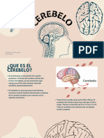 El Cerebro