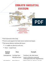 Skeletal System