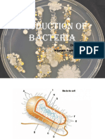 Bacteri 3