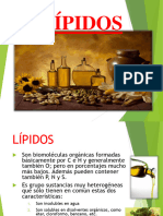 LIPIDOS