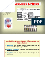Metab - Lipidos. Resumen