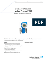 Endress - Promag P300