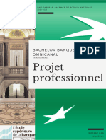 Projet Professionnel