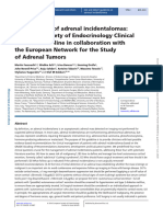 ESE ESNAT 2016 Adrenal Incidentaloma