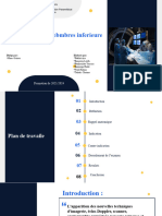 Angiographie Des Membre Inférieur