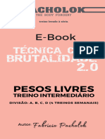 Treino Intermediário A B C D - Pesos Livres