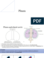 Unit 5.2 Pleura and Lungs