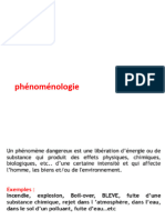 Phénoménologie