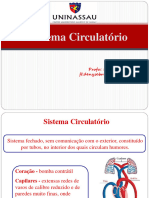 ANATOMIA-Sistema Circulatório