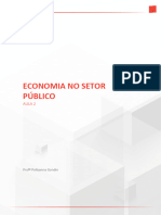 Economia No Setor Publico2