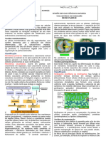 Histofisiologia Vegetal No Enem