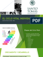 El Ciclo Vital Individual