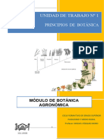 UD1 - BOTÁNICA CELULA y TEJIDOS