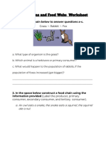 Food Chains and Food Webs Worksheet