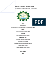 Practica de Determinacion de Cianobacterias-Grupo 5