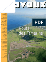 823 Routes Des Tamarins