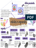 MAPA MENTAL - Células e Organelas