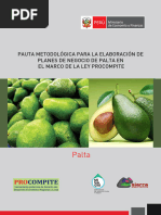 Pauta Planes de Negocio Palta