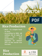 GROUP 2 Agriculture Sector