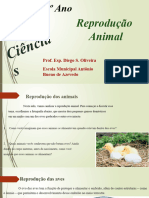 Reprodução Animal