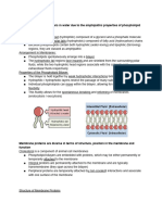 IB Biology - Membrane Structure