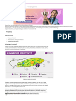 Kingdom Protista - Characteristics and Classification of Protist