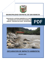 Declaracion de Impacto Ambiental